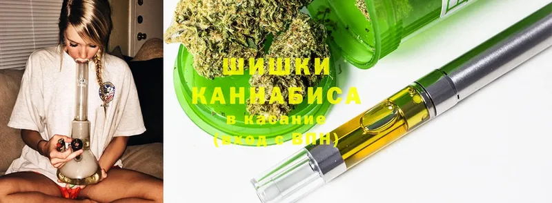 Конопля SATIVA & INDICA  Бородино 